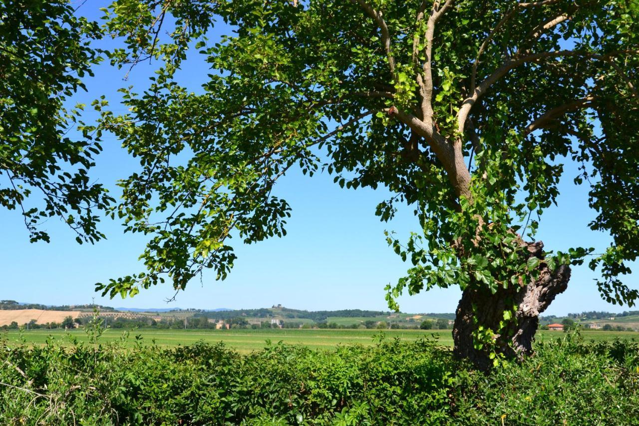 Agriturismo Le Stringaie Montepulciano Stazione Exteriör bild